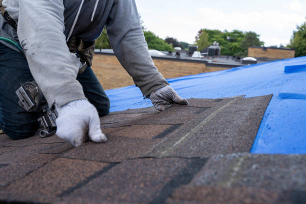 Best Roof Replacement Cost  in Oradell, NJ